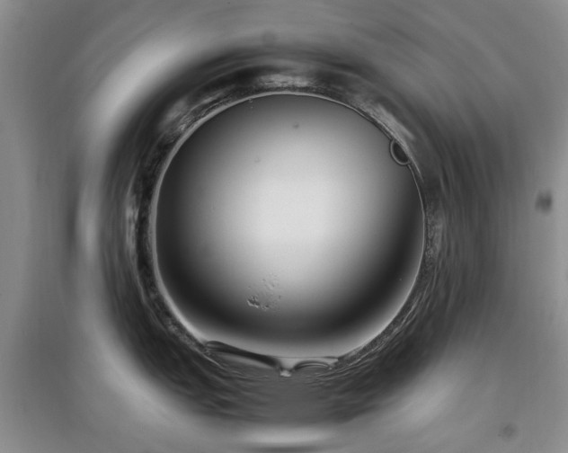 X0000097881151200803141314