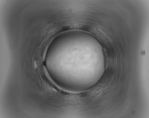 X0000097881153200803141314