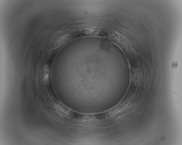 X0000097881154200803141314