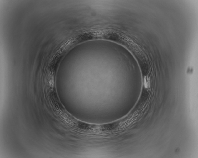 X0000097881155200803141314