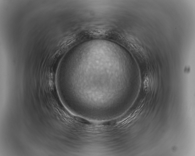 X0000097881156200803141314