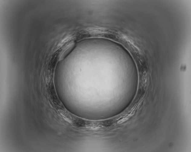 X0000097881157200803141314