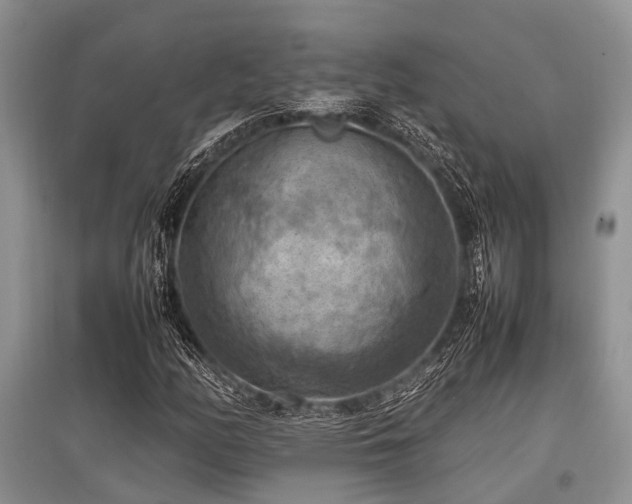 X0000097881158200803141314
