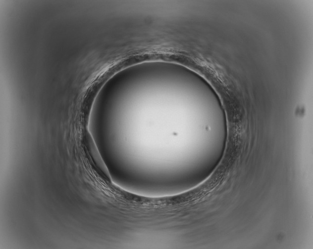 X0000097881159200803141314