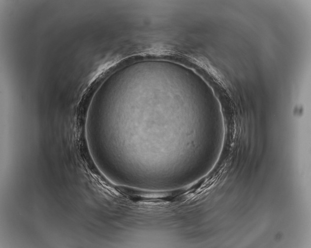 X0000097881160200803141314