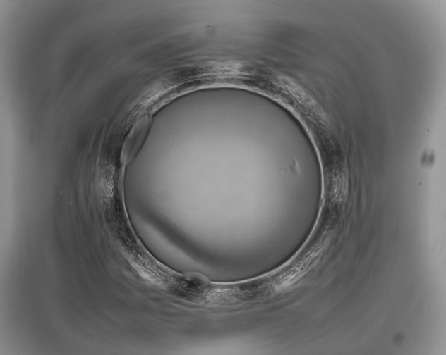 X0000097881161200803141314