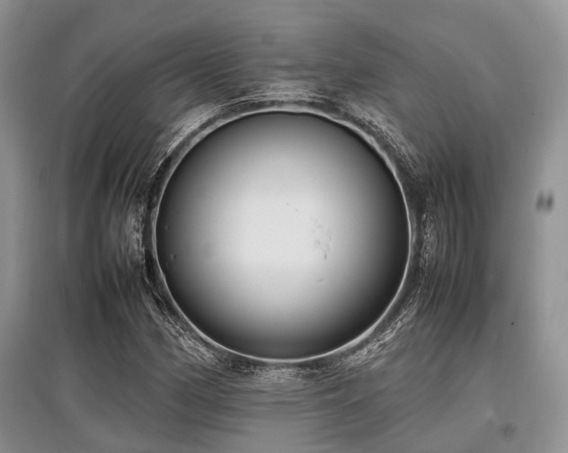 X0000097881162200803141314