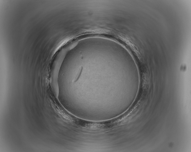 X0000097881163200803141314