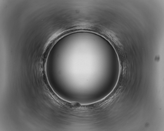 X0000097881164200803141314