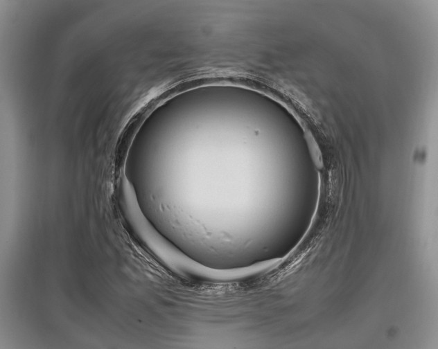 X0000097881165200803141314