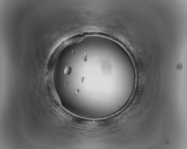 X0000097881167200803141313