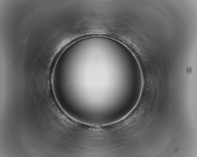 X0000097881168200803141313