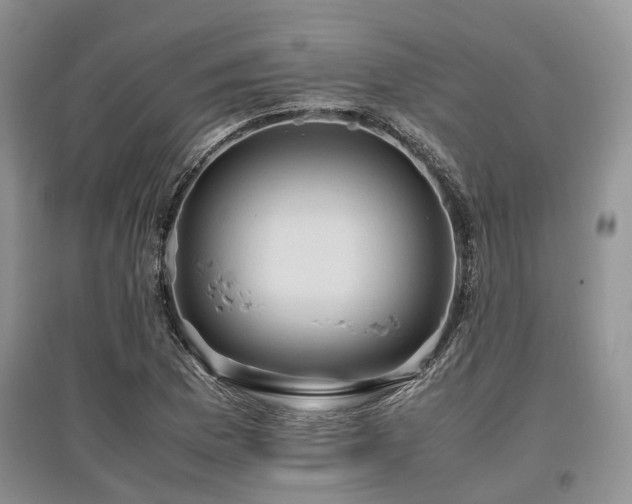 X0000097881169200803141313