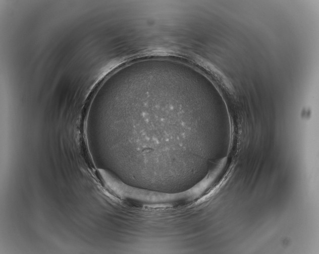 X0000097881170200803141313