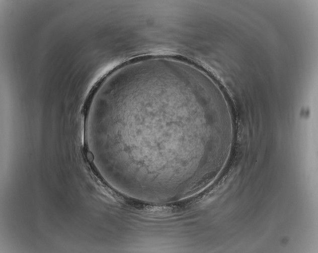 X0000097881171200803141313
