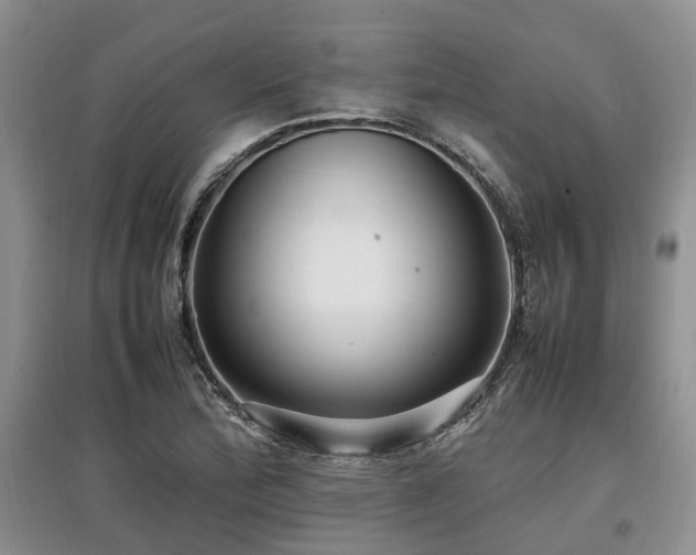 X0000097881172200803141313