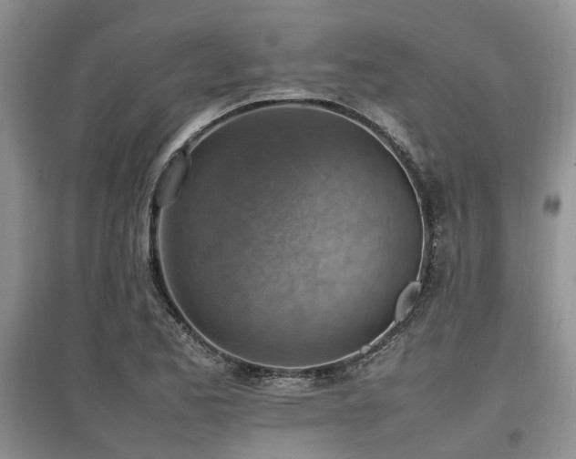 X0000097881173200803141313