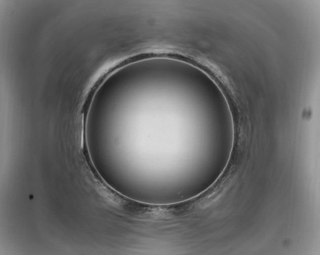 X0000097881175200803141313