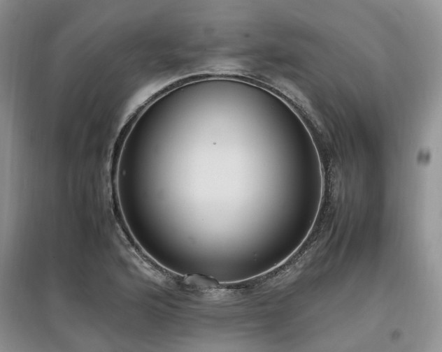X0000097881176200803141313