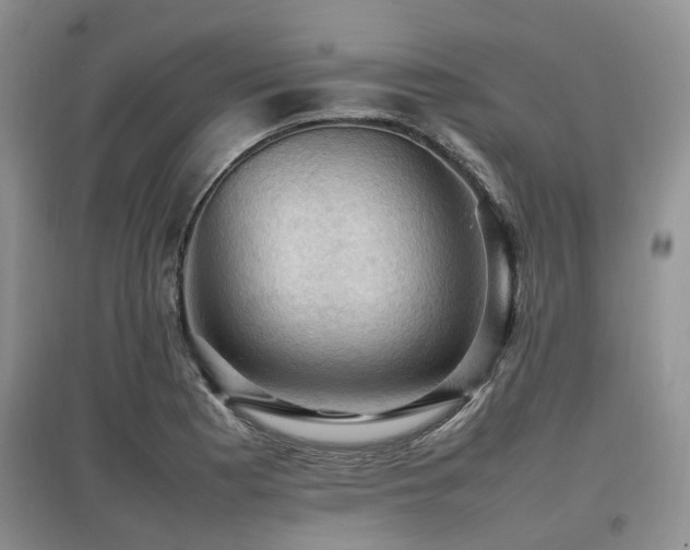 X0000097881177200803141313