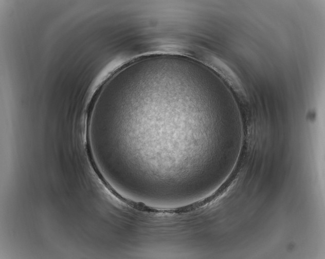 X0000097881180200803141313