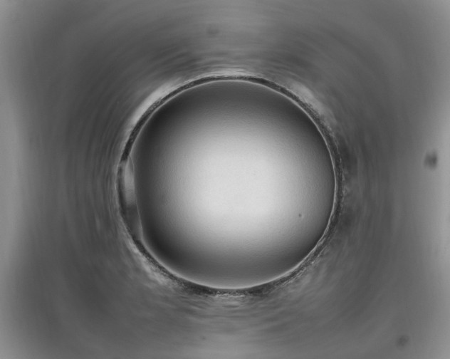 X0000097881181200803141313