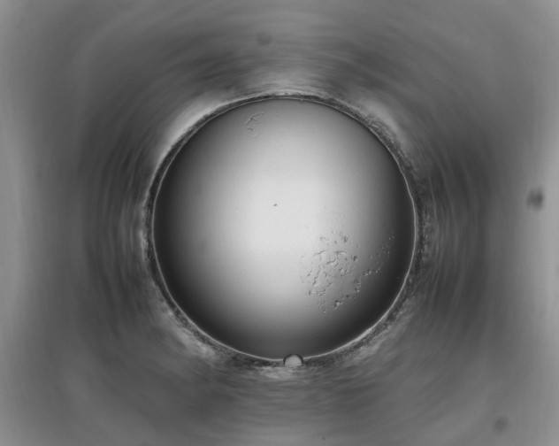 X0000097881182200803141313