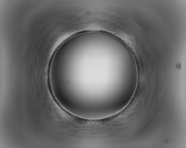 X0000097881183200803141313