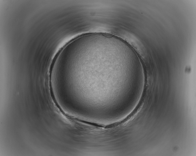 X0000097881184200803141313