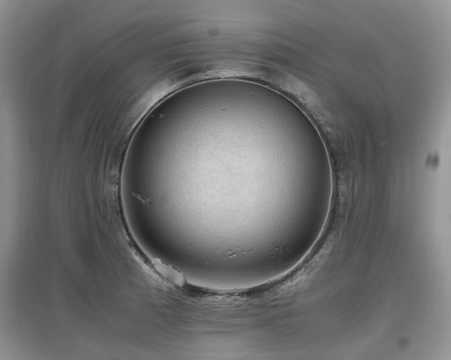 X0000097881185200803141313