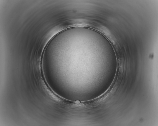 X0000097881186200803141313