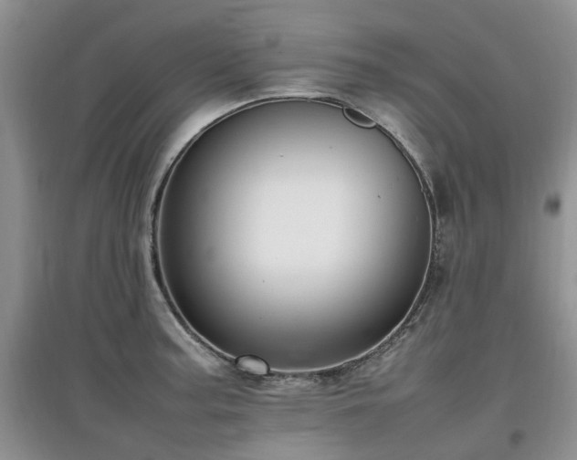 X0000097881187200803141313