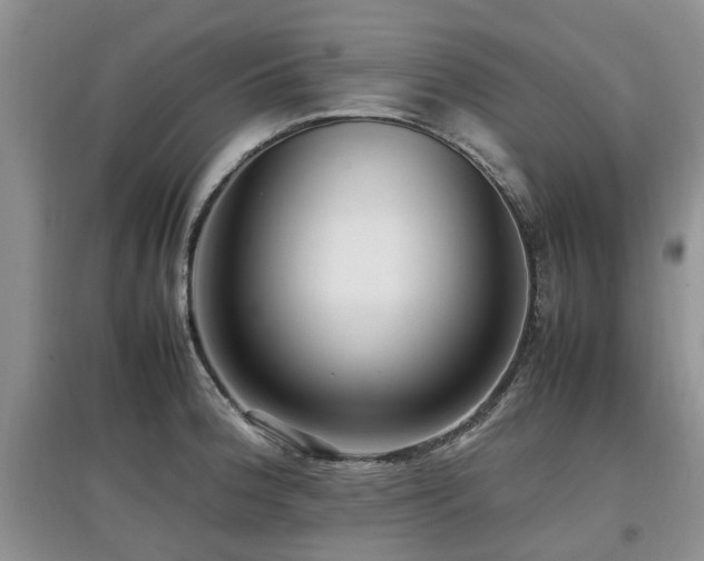 X0000097881188200803141313