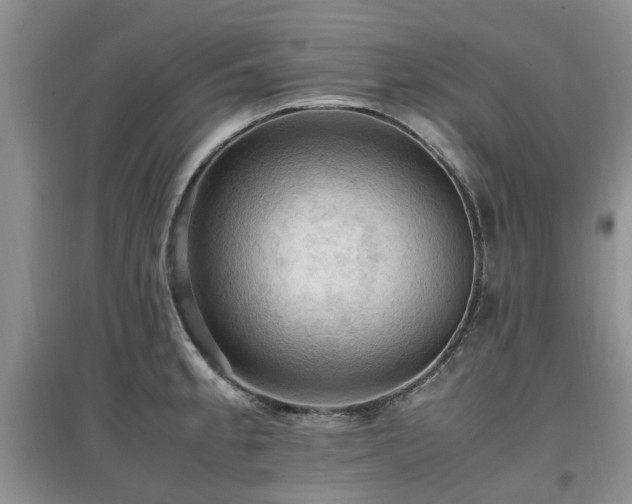 X0000097881189200803141313