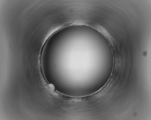X0000097881190200803141313