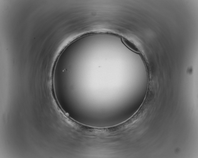X0000097881191200803141313