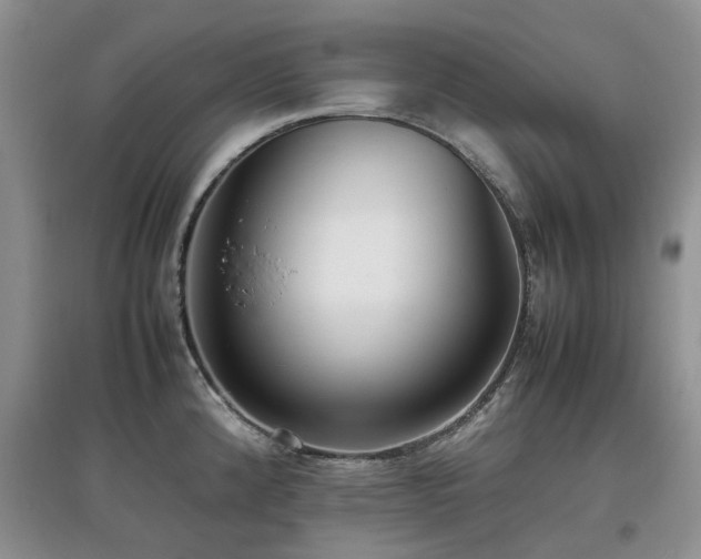 X0000097881192200803141313