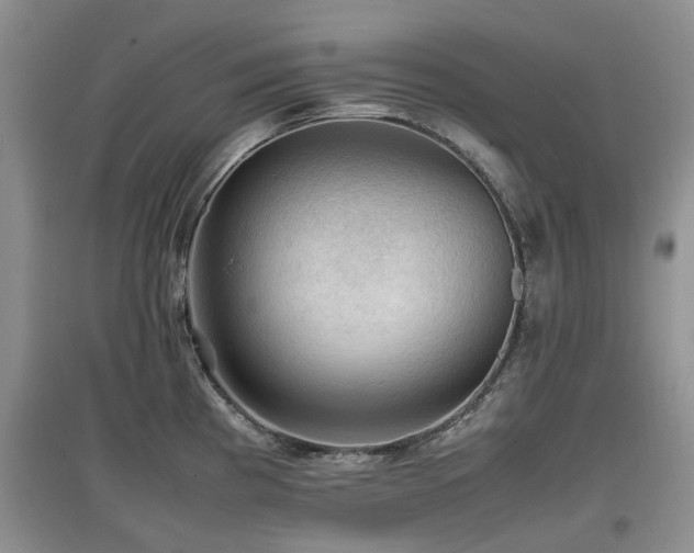 X0000097881193200803141313