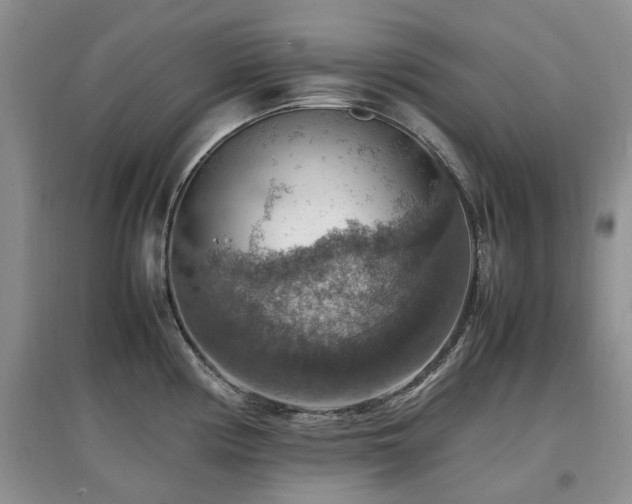 X0000097881194200803141313