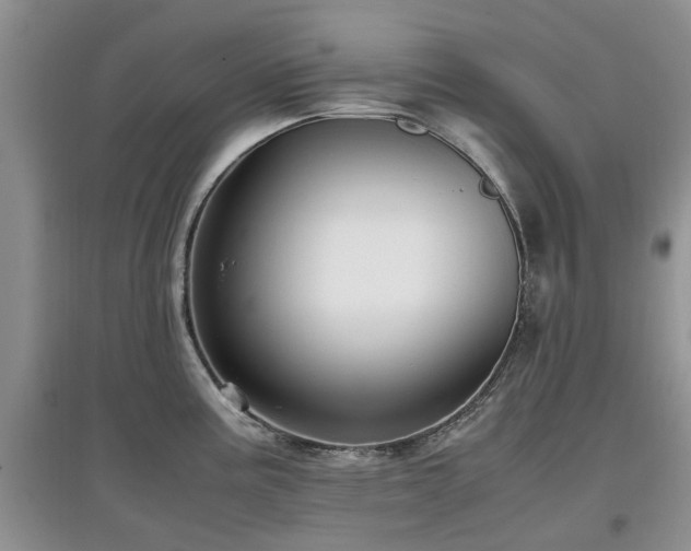 X0000097881195200803141313