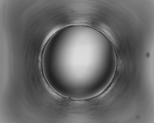 X0000097881196200803141313