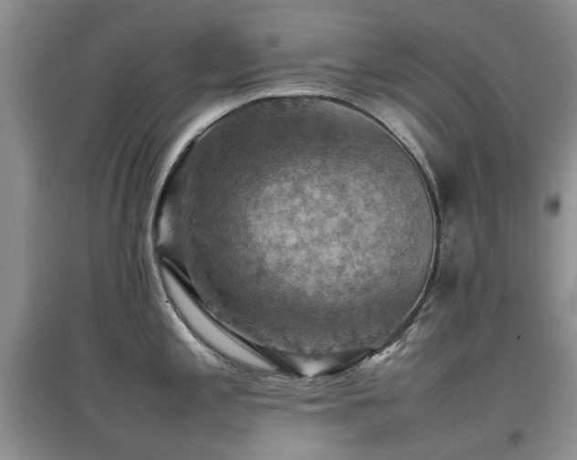 X0000097881197200803141313