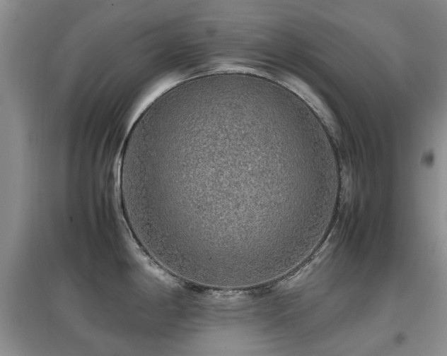 X0000097881198200803141313