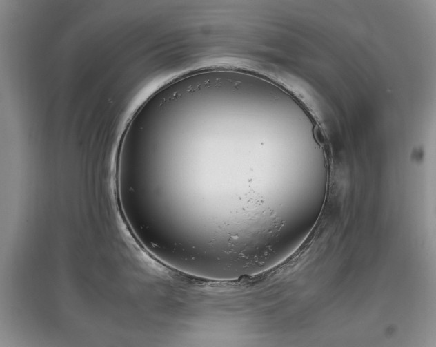 X0000097881199200803141313