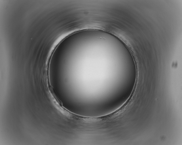 X0000097881200200803141313