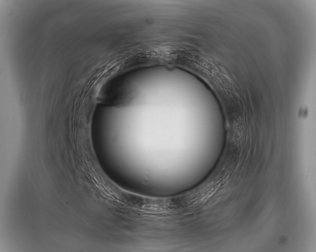 X0000097881201200803141312