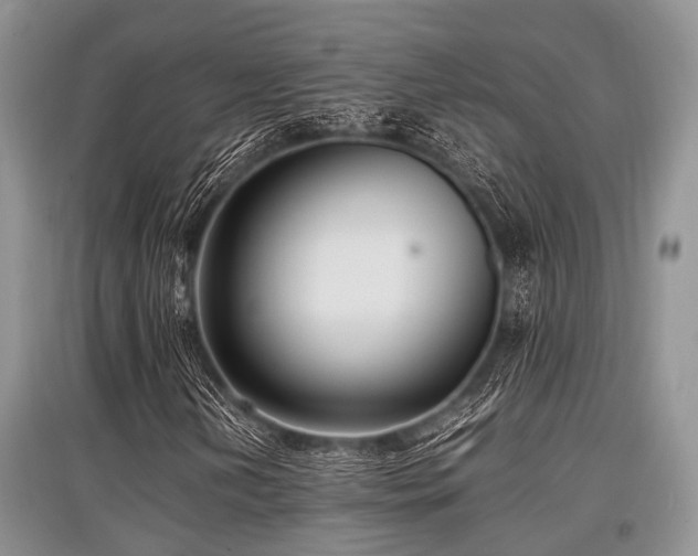 X0000097881202200803141312