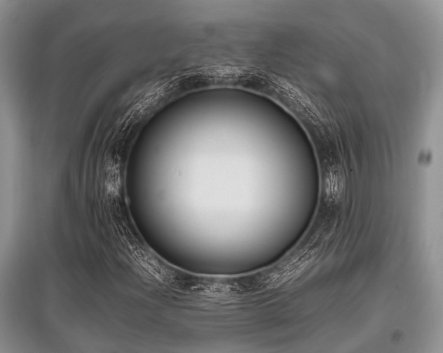 X0000097881204200803141312
