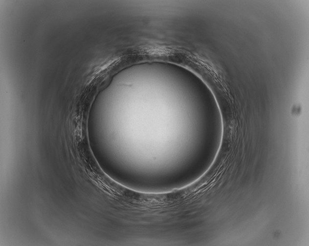 X0000097881205200803141312