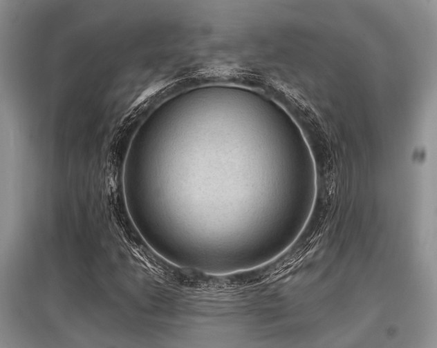 X0000097881206200803141312